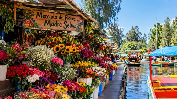 Mercado de Flores Madre Selva