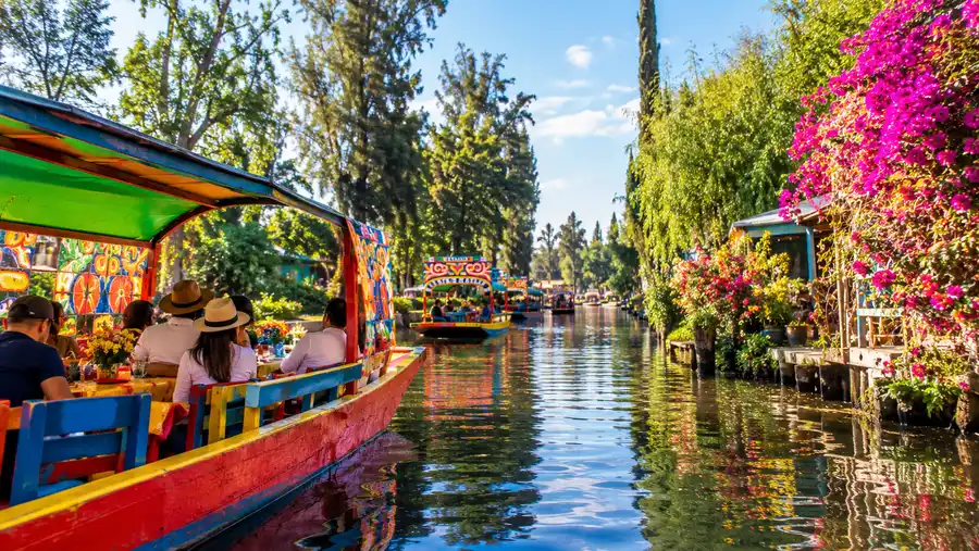 Things to Do in Xochimilco Beyond the Boats